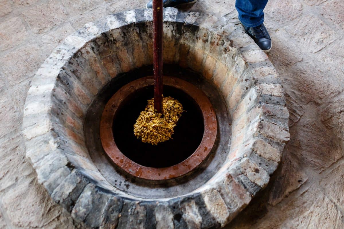 Ghvino.shop | Qvevri wine