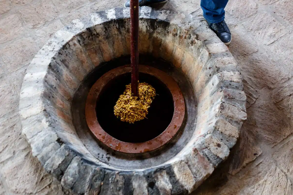 Ghvino.shop | Qvevri wine