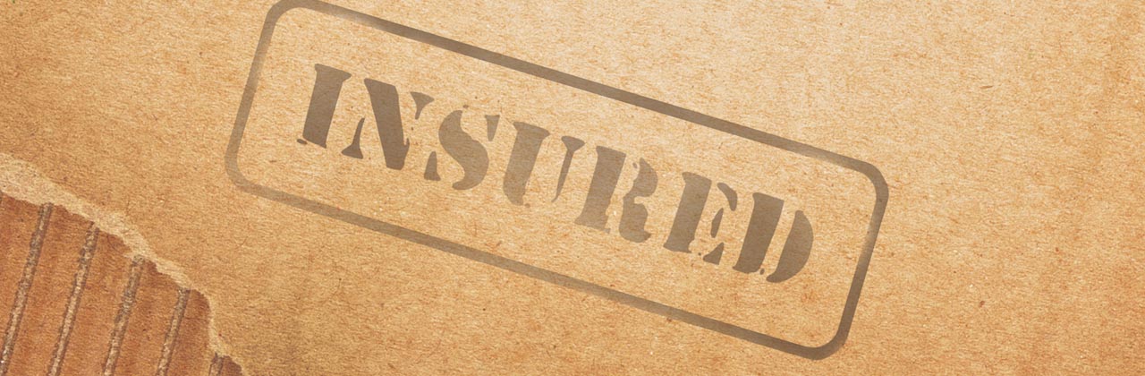 Flespakket insurance | Ghvino.shop