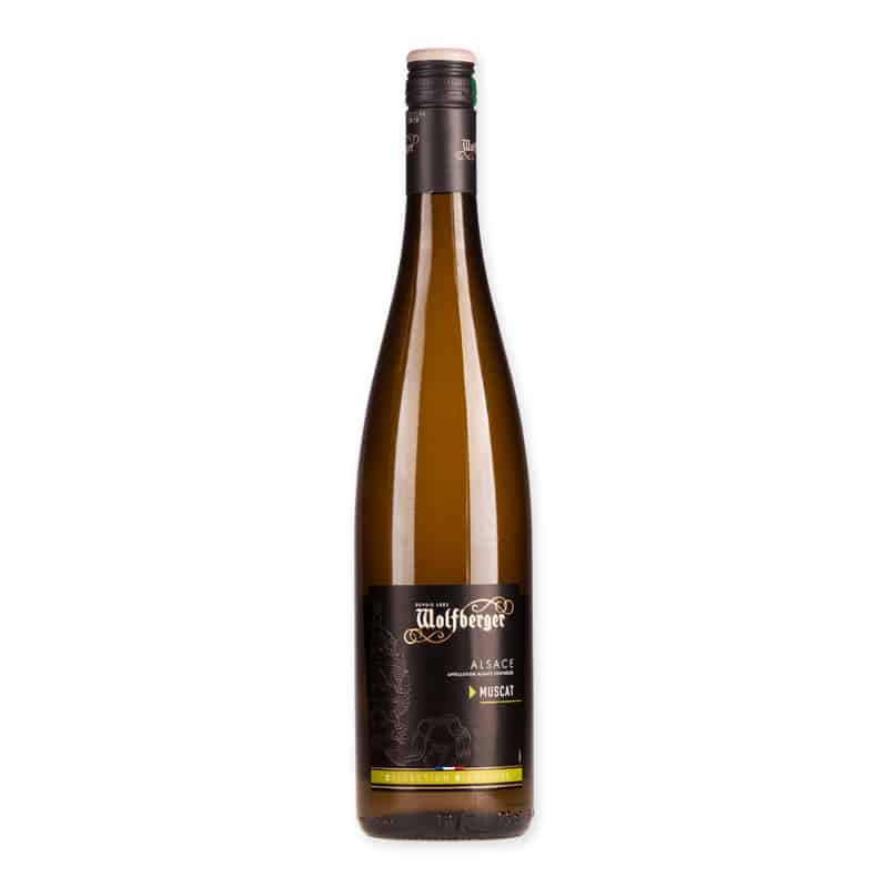 Ontdek Wolfberger Muscat Signature